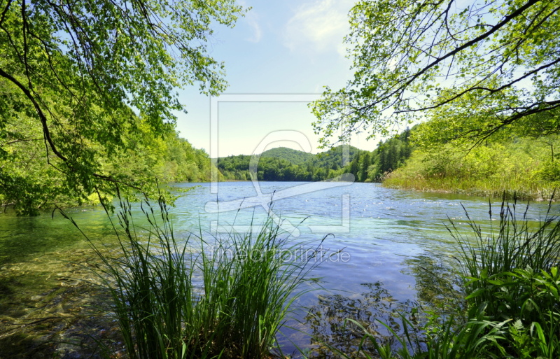 frei wählbarer Bildausschnitt für Ihr Bild auf Leinwand