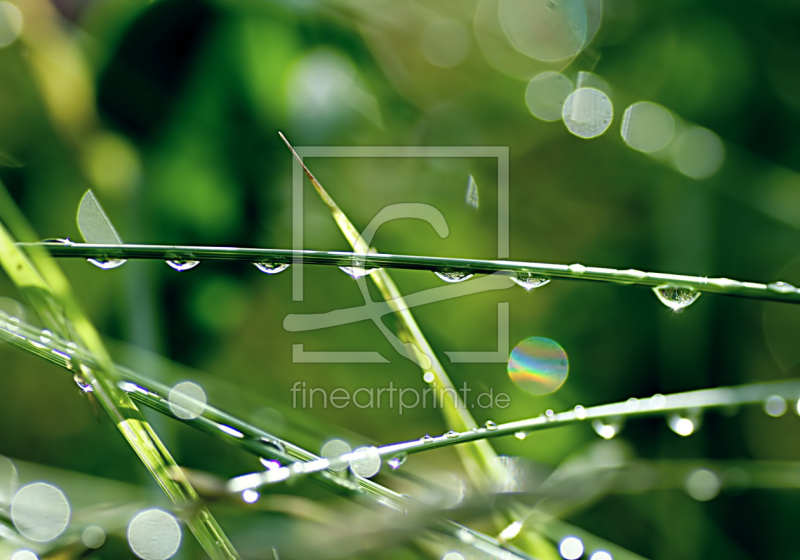 frei wählbarer Bildausschnitt für Ihr Bild auf Leinwand