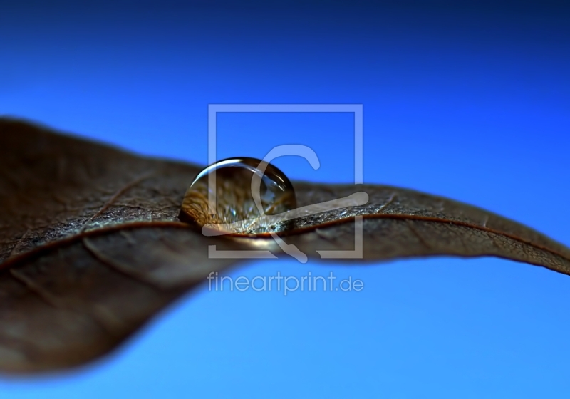 frei wählbarer Bildausschnitt für Ihr Bild auf Leinwand