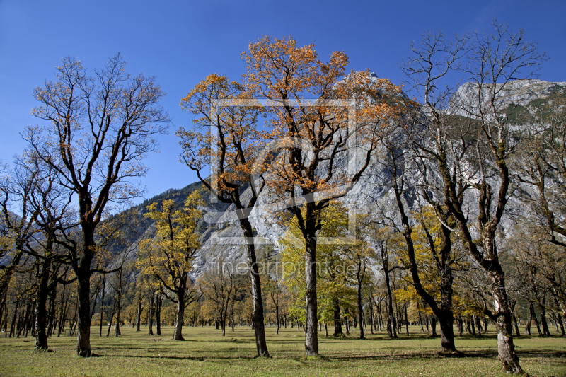 frei wählbarer Bildausschnitt für Ihr Bild auf Leinwand