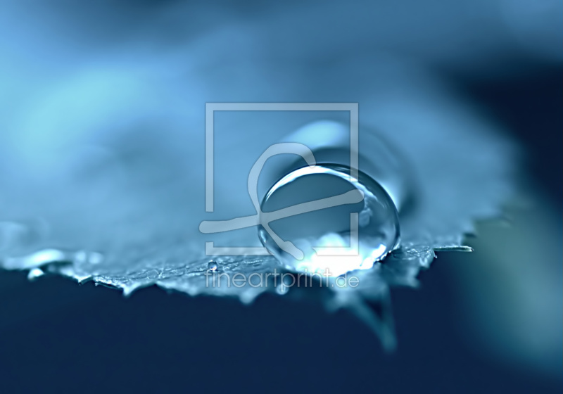 frei wählbarer Bildausschnitt für Ihr Bild auf Leinwand