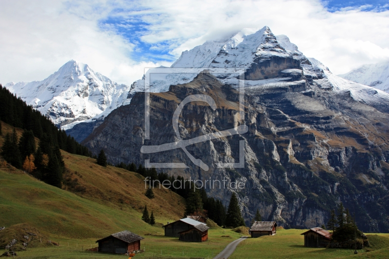 frei wählbarer Bildausschnitt für Ihr Bild auf Leinwand