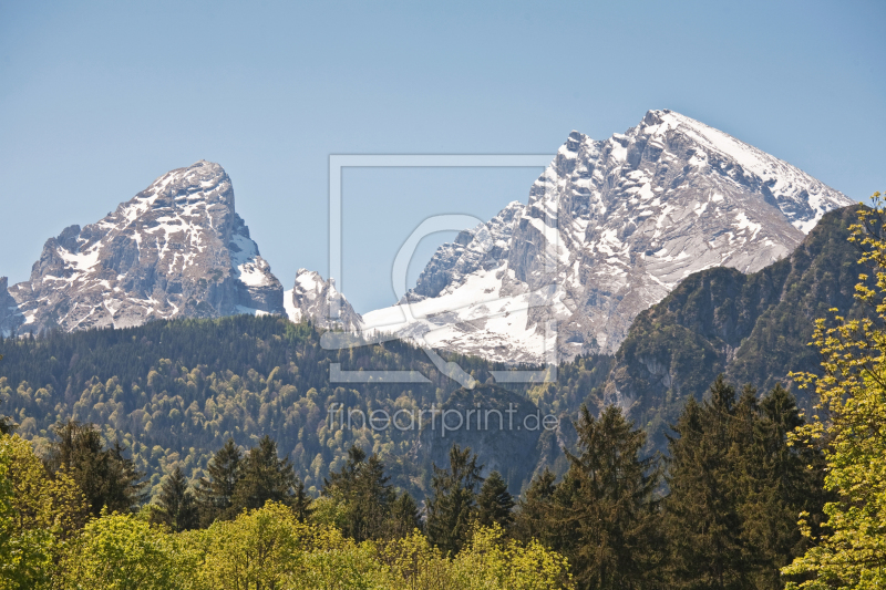 frei wählbarer Bildausschnitt für Ihr Bild auf Leinwand
