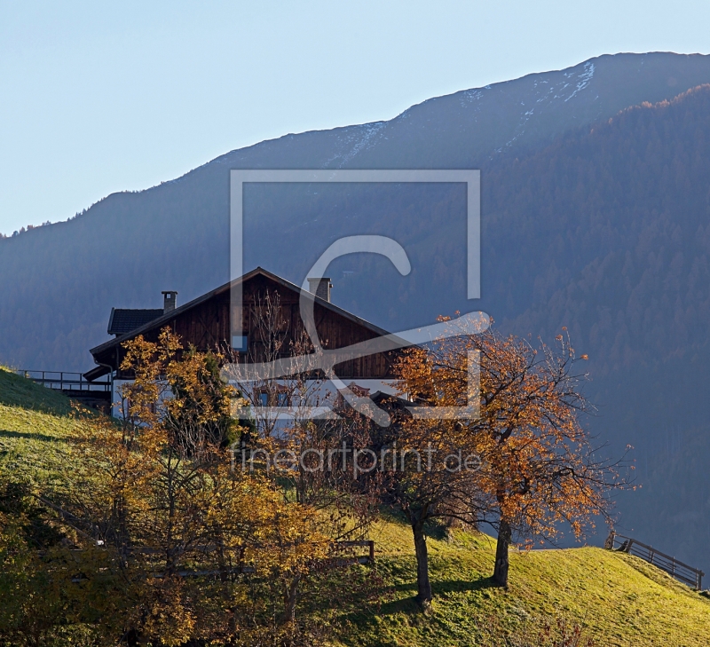 frei wählbarer Bildausschnitt für Ihr Bild auf Leinwand