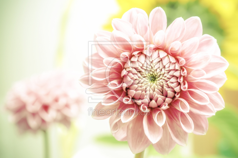 frei wählbarer Bildausschnitt für Ihr Bild auf Leinwand