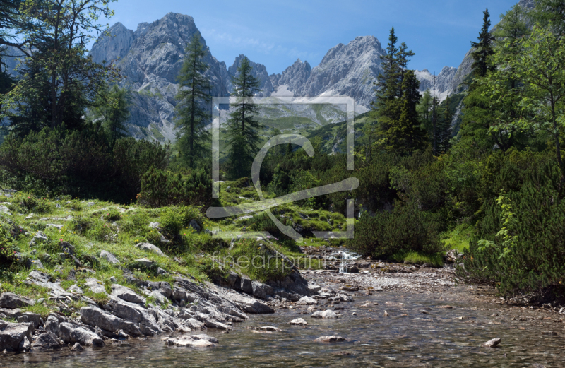 frei wählbarer Bildausschnitt für Ihr Bild auf Leinwand