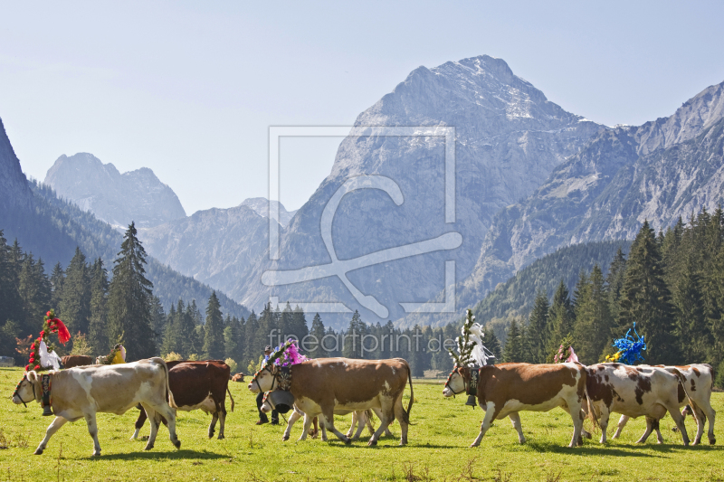 frei wählbarer Bildausschnitt für Ihr Bild auf Leinwand