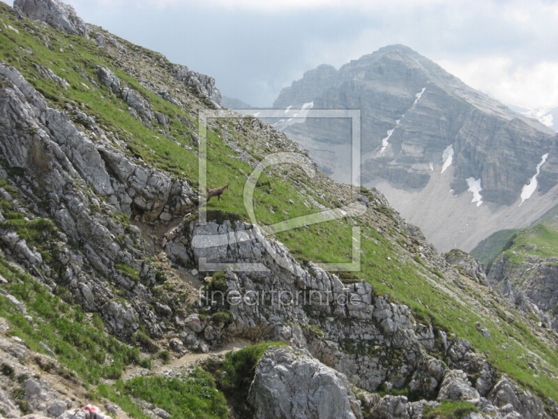 frei wählbarer Bildausschnitt für Ihr Bild auf Leinwand