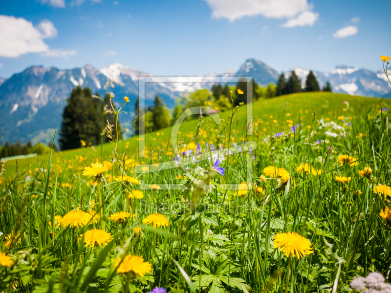 frei wählbarer Bildausschnitt für Ihr Bild auf Leinwand