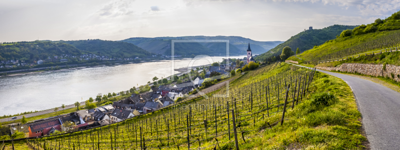 frei wählbarer Bildausschnitt für Ihr Bild auf Leinwand