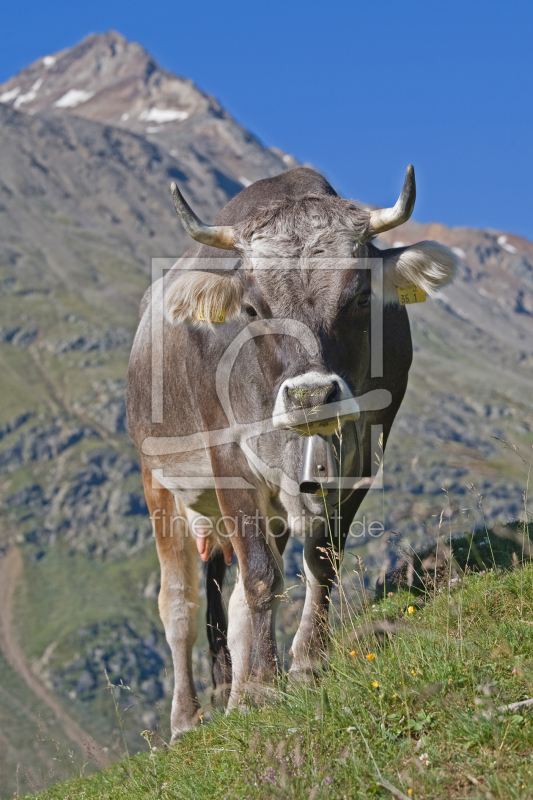 frei wählbarer Bildausschnitt für Ihr Bild auf Leinwand