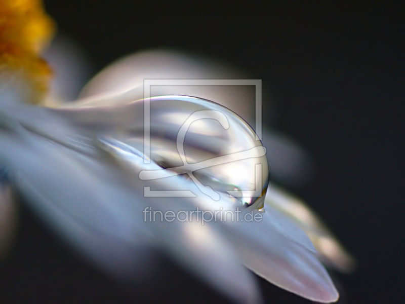 frei wählbarer Bildausschnitt für Ihr Bild auf Leinwand