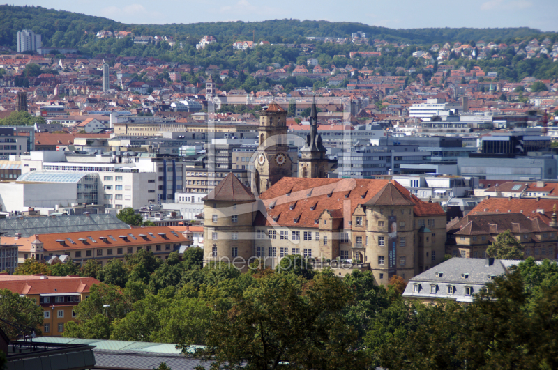 frei wählbarer Bildausschnitt für Ihr Bild auf Leinwand