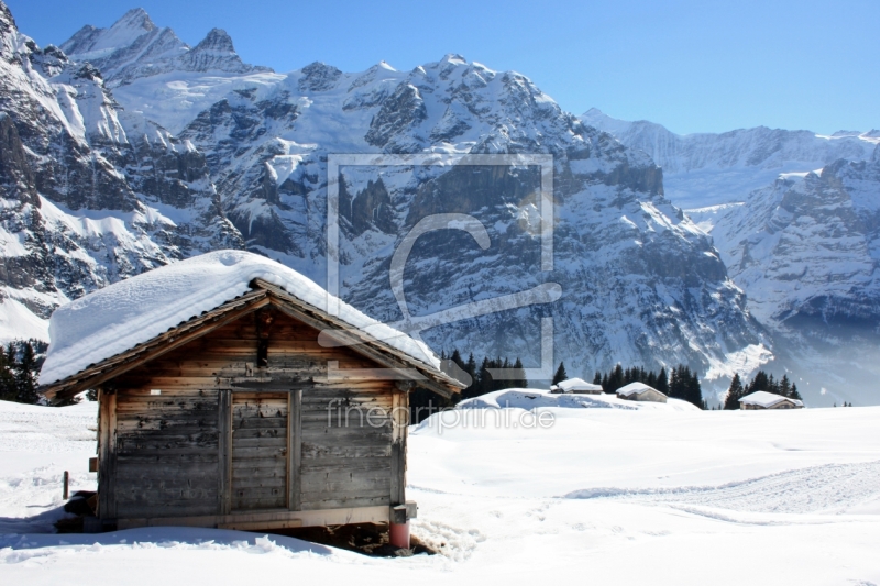 frei wählbarer Bildausschnitt für Ihr Bild auf Leinwand