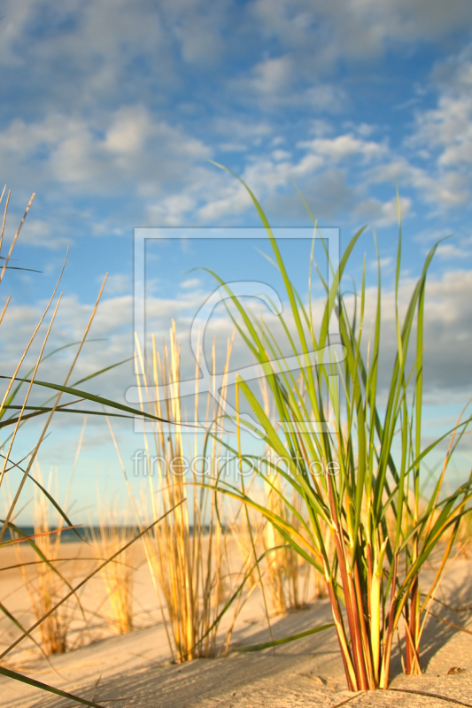 frei wählbarer Bildausschnitt für Ihr Bild auf Leinwand