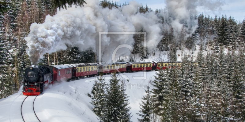 frei wählbarer Bildausschnitt für Ihr Bild auf Leinwand