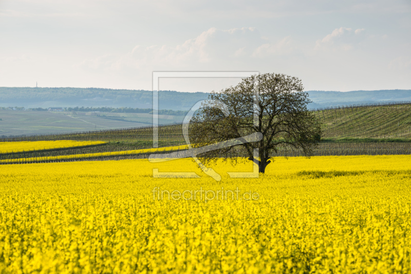 frei wählbarer Bildausschnitt für Ihr Bild auf Leinwand