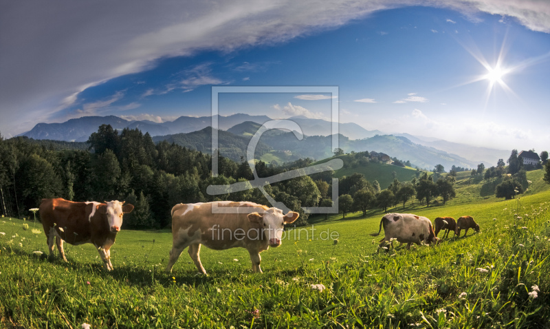 frei wählbarer Bildausschnitt für Ihr Bild auf Leinwand