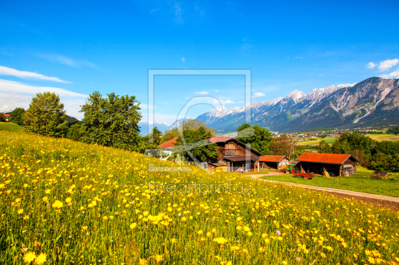 frei wählbarer Bildausschnitt für Ihr Bild auf Leinwand