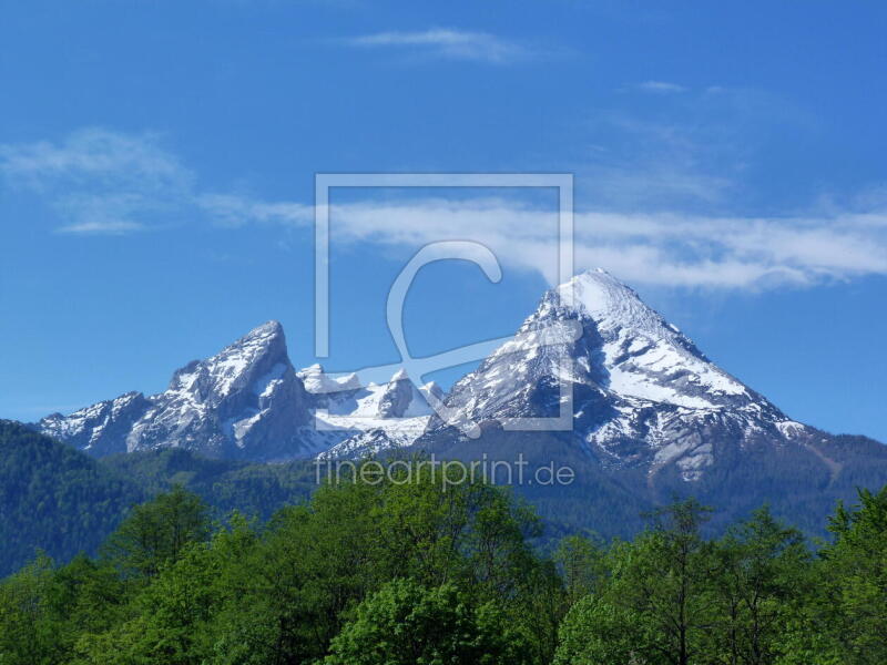 frei wählbarer Bildausschnitt für Ihr Bild auf Leinwand