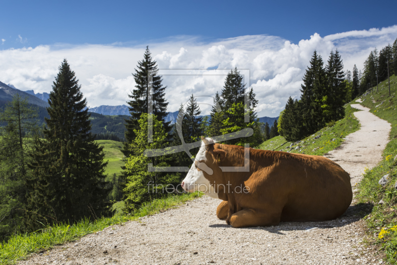 frei wählbarer Bildausschnitt für Ihr Bild auf Leinwand