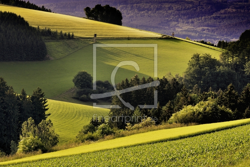 frei wählbarer Bildausschnitt für Ihr Bild auf Leinwand