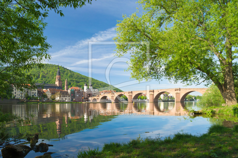 frei wählbarer Bildausschnitt für Ihr Bild auf Leinwand