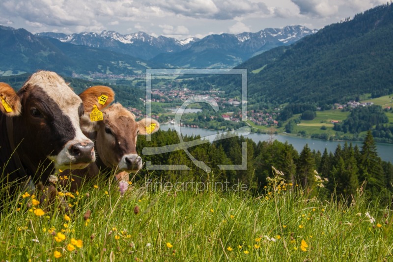 frei wählbarer Bildausschnitt für Ihr Bild auf Leinwand