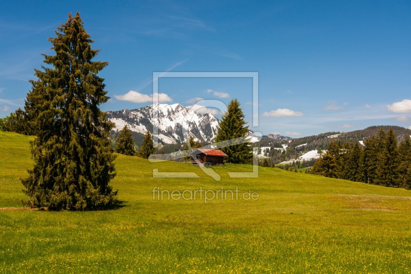 frei wählbarer Bildausschnitt für Ihr Bild auf Leinwand