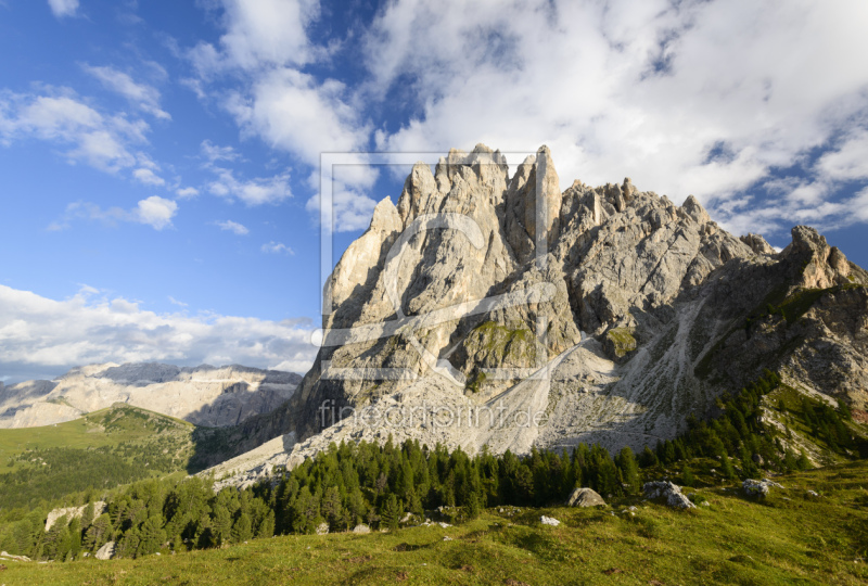 frei wählbarer Bildausschnitt für Ihr Bild auf Leinwand