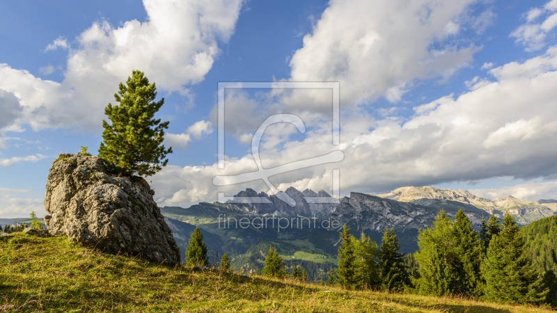 frei wählbarer Bildausschnitt für Ihr Bild auf Leinwand