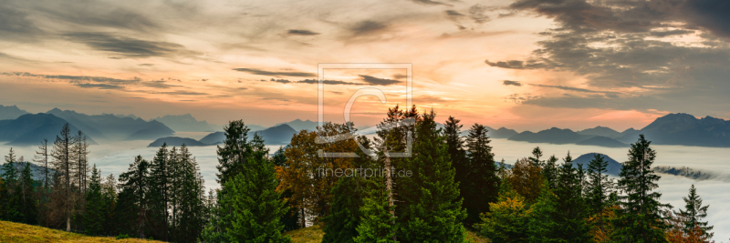 frei wählbarer Bildausschnitt für Ihr Bild auf Leinwand