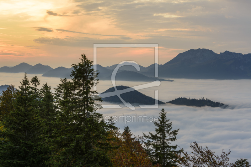 frei wählbarer Bildausschnitt für Ihr Bild auf Leinwand