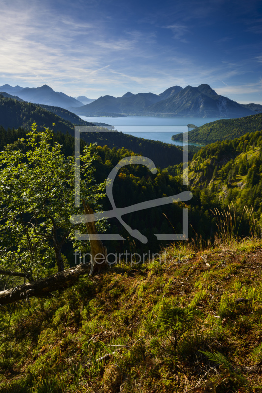 frei wählbarer Bildausschnitt für Ihr Bild auf Leinwand