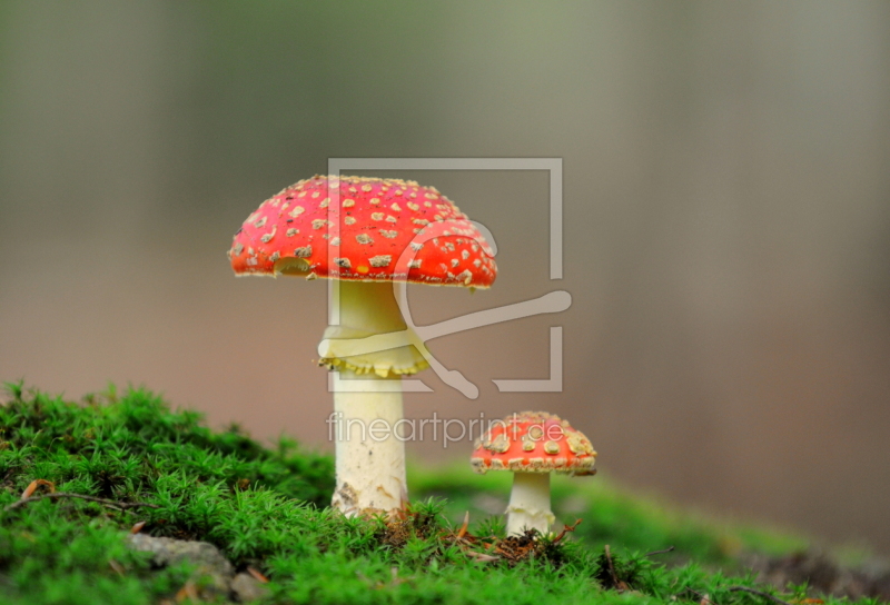 frei wählbarer Bildausschnitt für Ihr Bild auf Leinwand