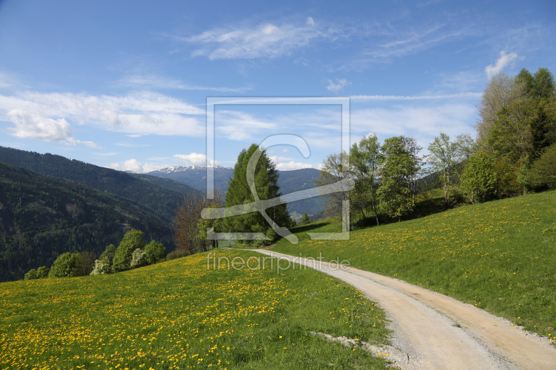 frei wählbarer Bildausschnitt für Ihr Bild auf Leinwand