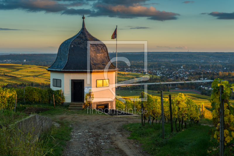 frei wählbarer Bildausschnitt für Ihr Bild auf Leinwand