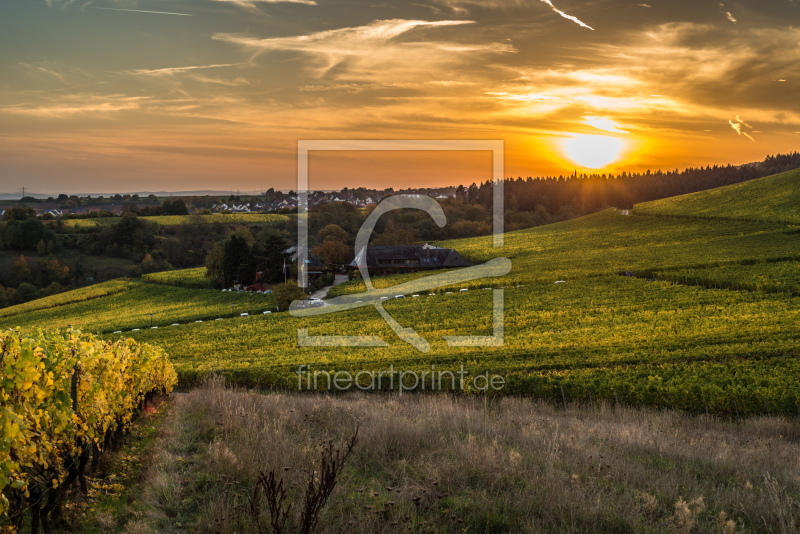 frei wählbarer Bildausschnitt für Ihr Bild auf Leinwand