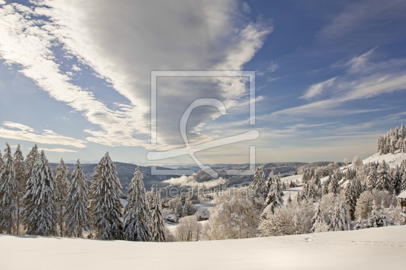 frei wählbarer Bildausschnitt für Ihr Bild auf Leinwand