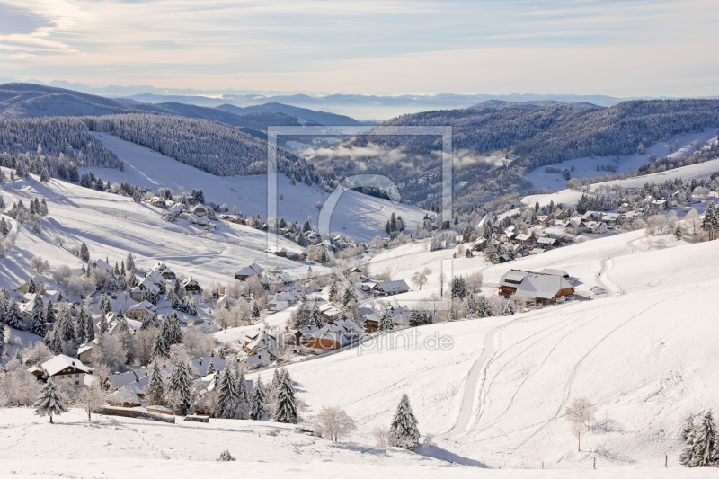 frei wählbarer Bildausschnitt für Ihr Bild auf Leinwand