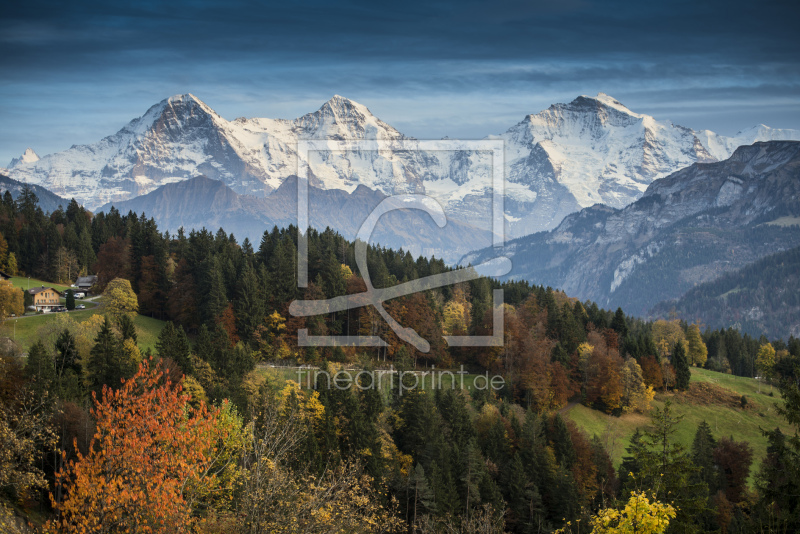 frei wählbarer Bildausschnitt für Ihr Bild auf Leinwand