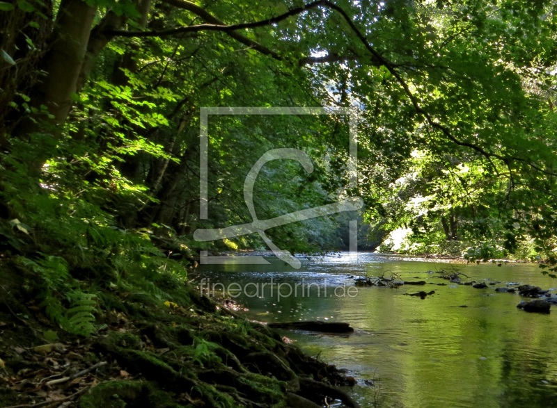 frei wählbarer Bildausschnitt für Ihr Bild auf Leinwand