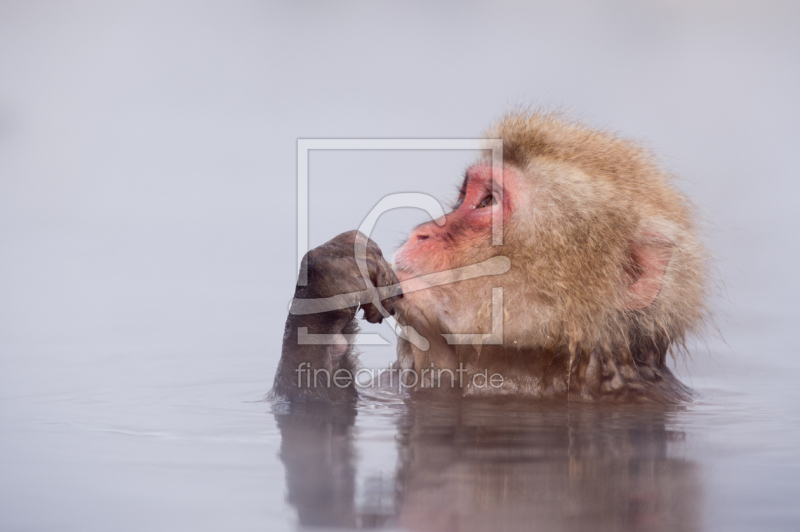 frei wählbarer Bildausschnitt für Ihr Bild auf Leinwand
