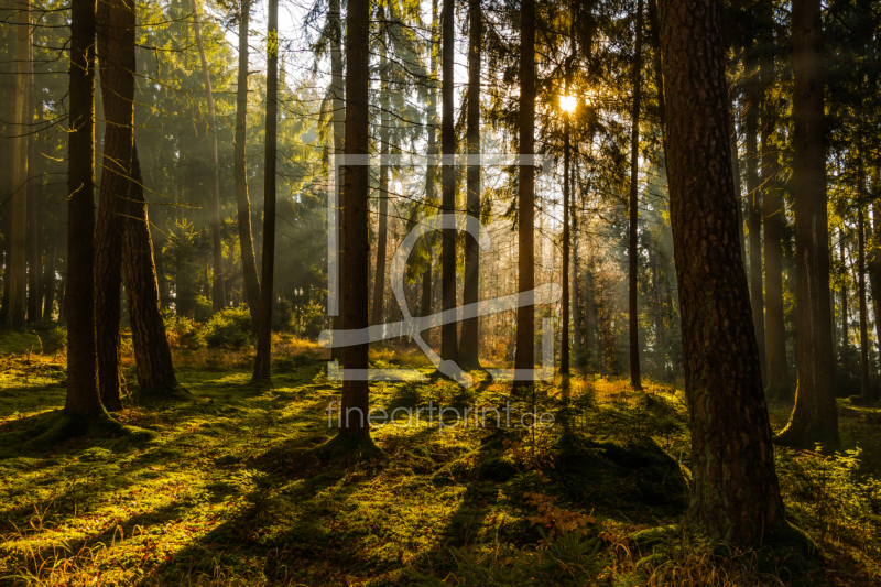 frei wählbarer Bildausschnitt für Ihr Bild auf Leinwand