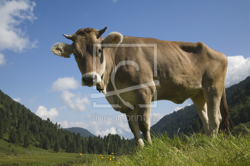 frei wählbarer Bildausschnitt für Ihr Bild auf Leinwand