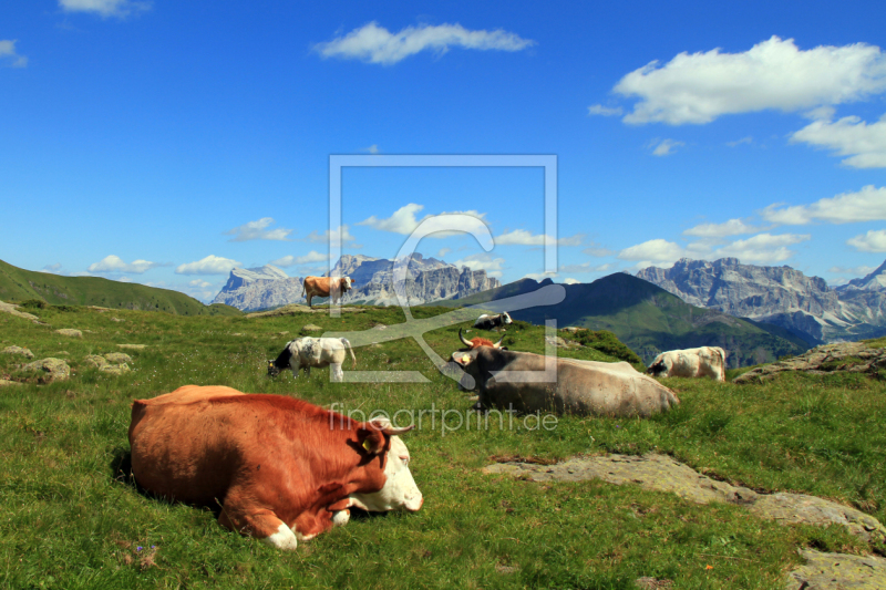 frei wählbarer Bildausschnitt für Ihr Bild auf Leinwand
