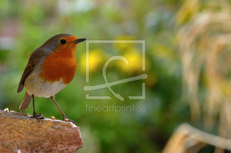 frei wählbarer Bildausschnitt für Ihr Bild auf Leinwand