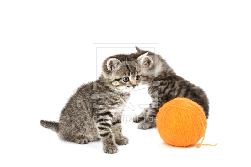 frei wählbarer Bildausschnitt für Ihr Bild auf Leinwand