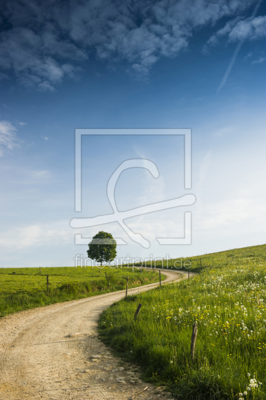 frei wählbarer Bildausschnitt für Ihr Bild auf Leinwand