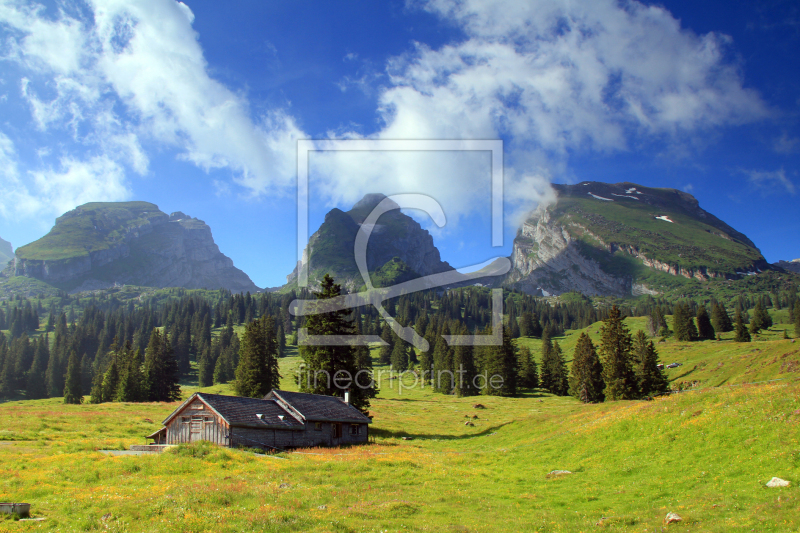 frei wählbarer Bildausschnitt für Ihr Bild auf Leinwand